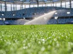 阿達馬特拉,奧雷簡介,新葡京,新葡京,新葡京app,新葡京娱乐,新普京赌场