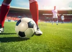 官方披露球,迷投币事件,四川队经费,新葡京,新葡京app,新葡京娱乐,新普京赌场