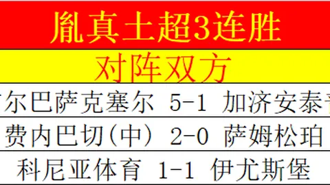 “潘论中超：王钰栋遇暴力侵犯，拜合拉木挥拳被红牌罚下”