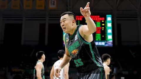 尼克斯力克奇才终结9连败，新葡京，，布伦森狂砍26分11板猛龙对决步行者胜利在望